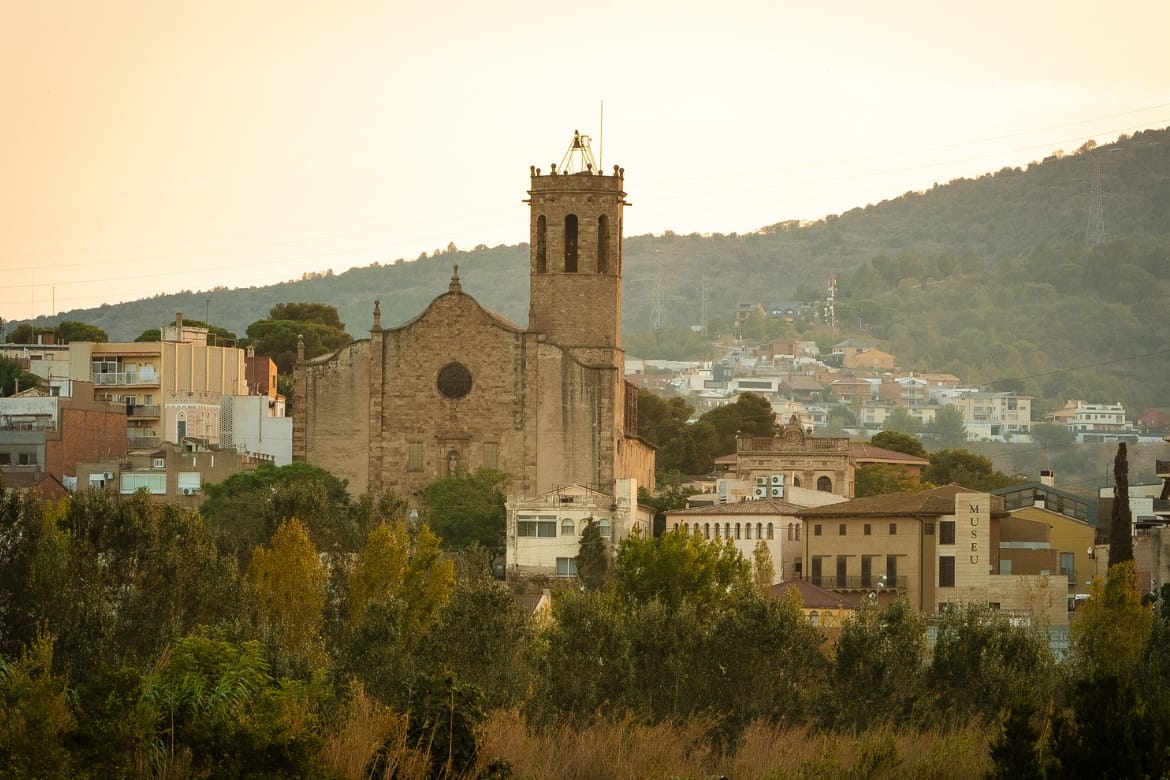 Especialista en marketing digital diseñando una tienda online para un comercio de Sant Boi de Llobregat.