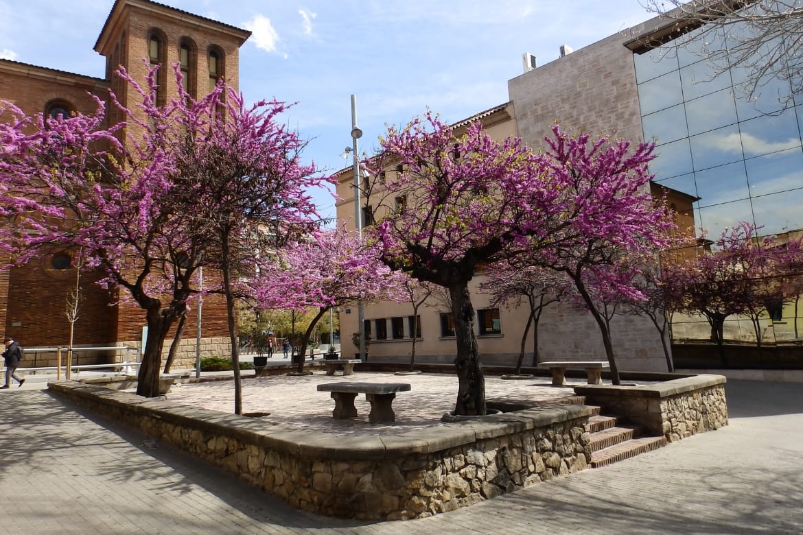 Especialista en SEO Local trabajando en una estrategia para un negocio de Cornellà de Llobregat.