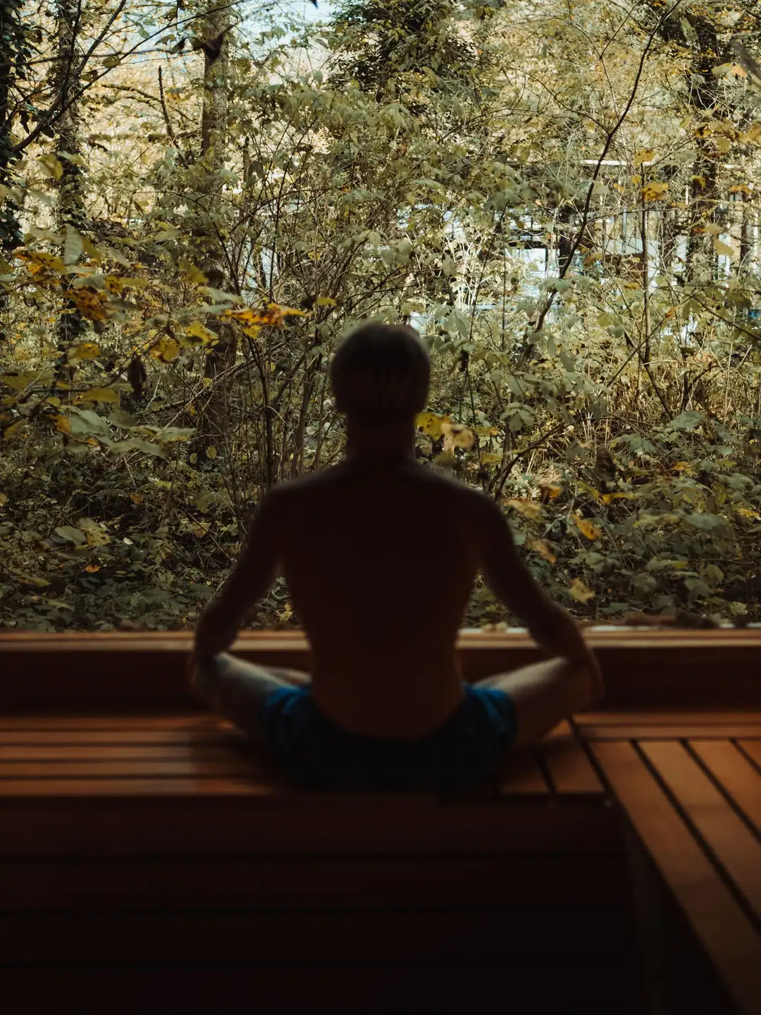 Persona meditando de espaldas frente al bosque durante un retiro de bienestar